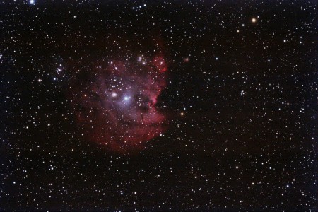 Monkeynebel/Affenkopfnebel oder NGC 2175